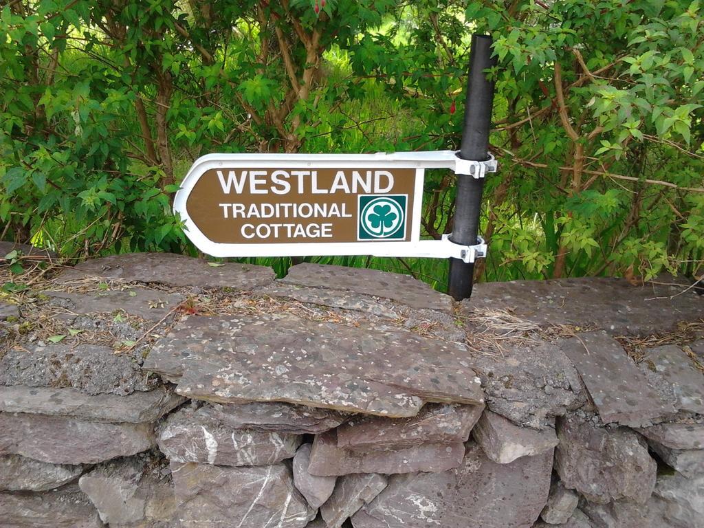 Westland Traditional Cottage Dated 1700'S Ardea 部屋 写真