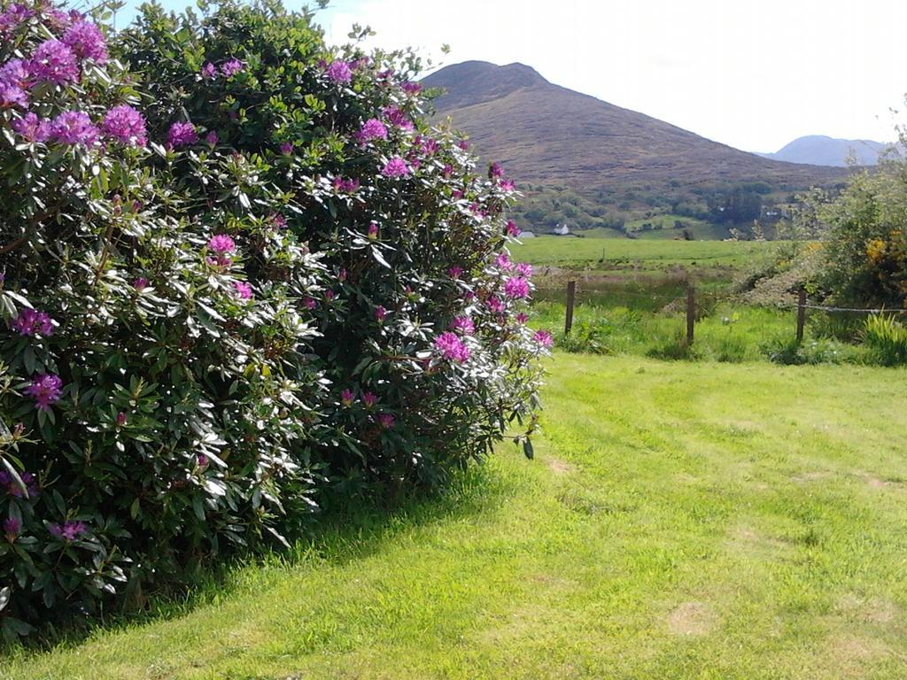 Westland Traditional Cottage Dated 1700'S Ardea 部屋 写真
